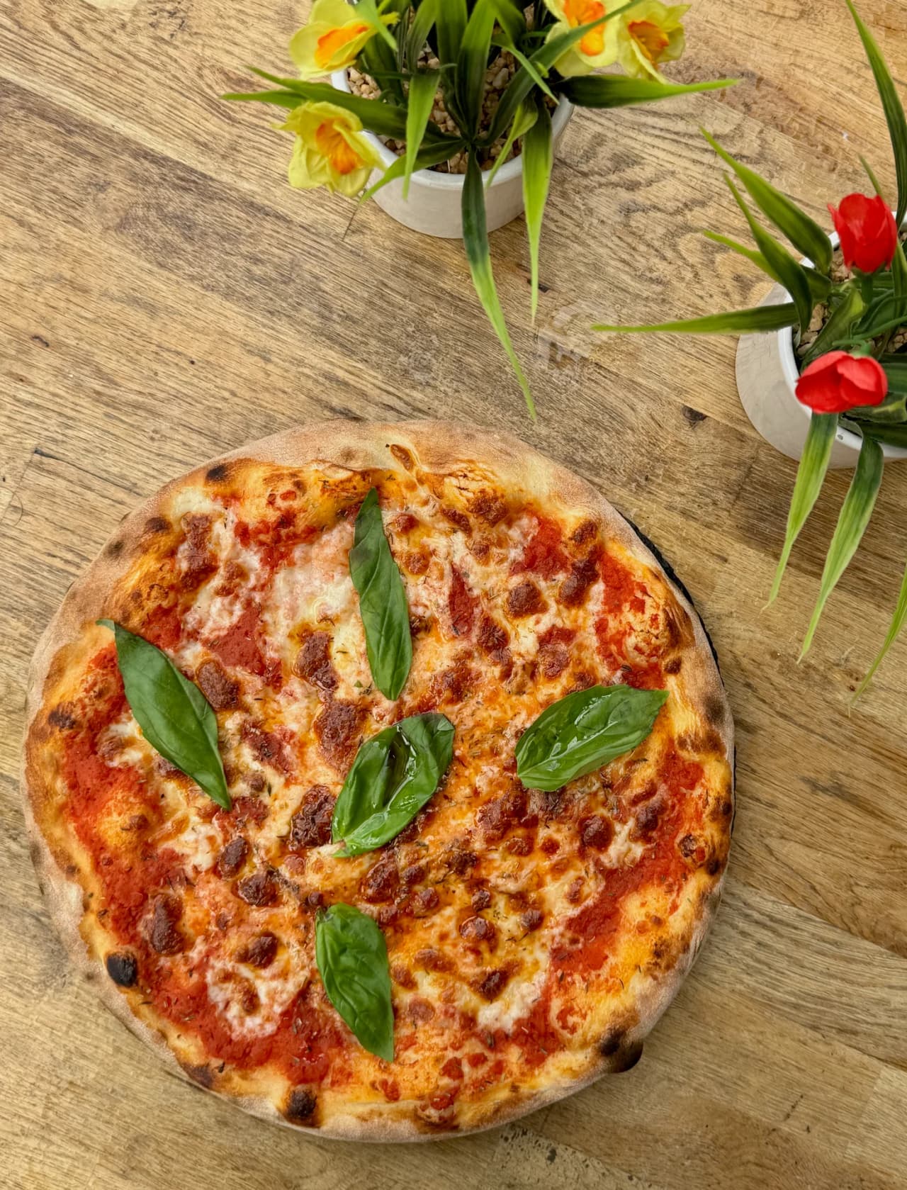 Pizza Margherita traditionnelle avec sauce tomate, mozzarella fondue et feuilles de basilic frais, servie sur une table en bois rustique décorée de vases de fleurs jaunes et rouges